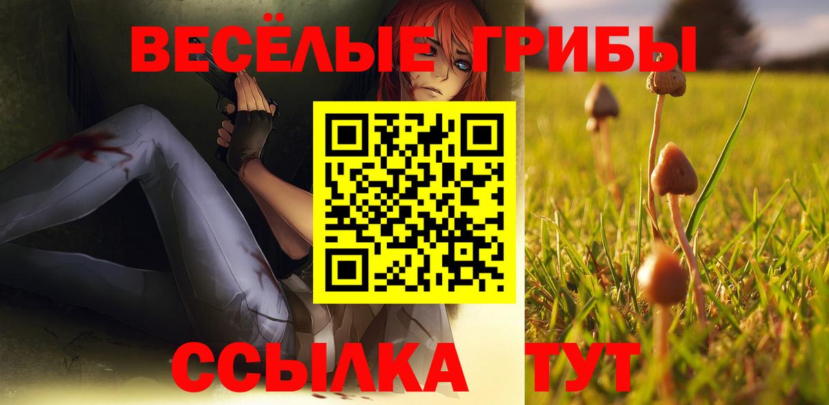 Галлюциногенные грибы мухоморы Томск