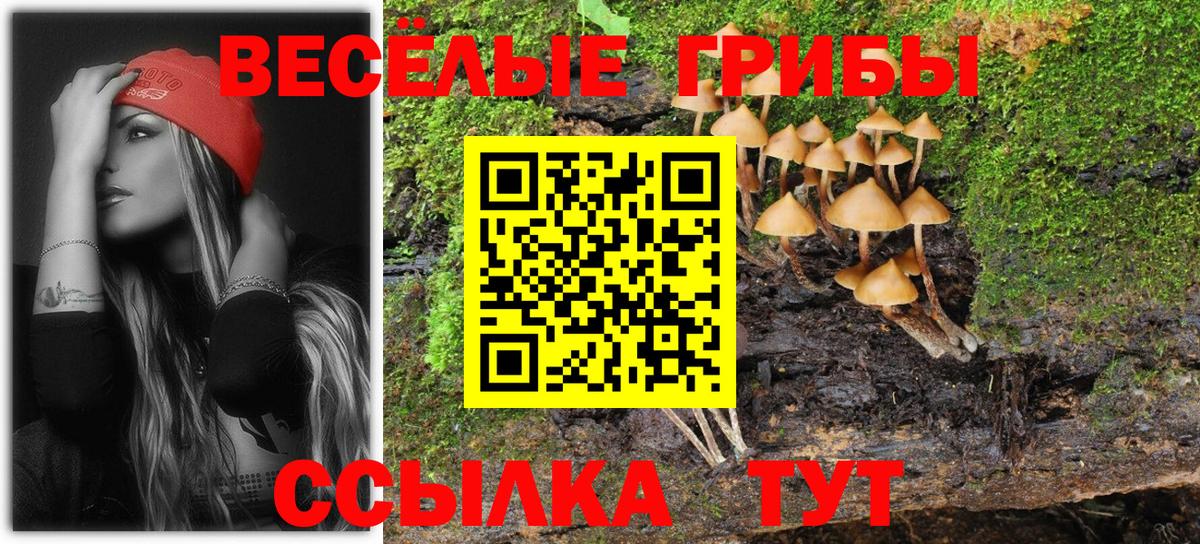 Томск  Псилоцибиновые грибы мицелий  продажа наркотиков  Галлюциногенные грибы Psilocybe  Вход с VPN 